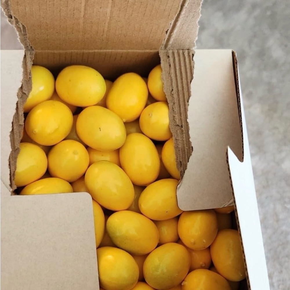 Box of Fake Yellow Lemons - 100pc